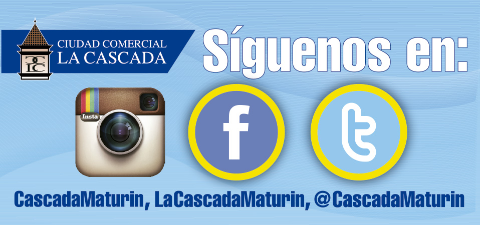 Siguenos en las redes